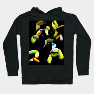 Toucans Hoodie